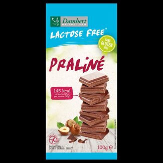 Damhert Tablette de chocolat Damhert praliné sans gluten et sans lactose 100 g