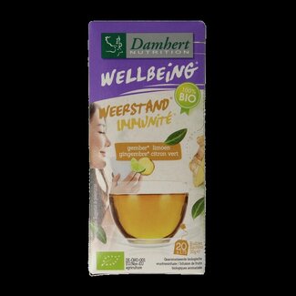 Damhert Damhert Thé bio gingembre citron vert 20 Sachets