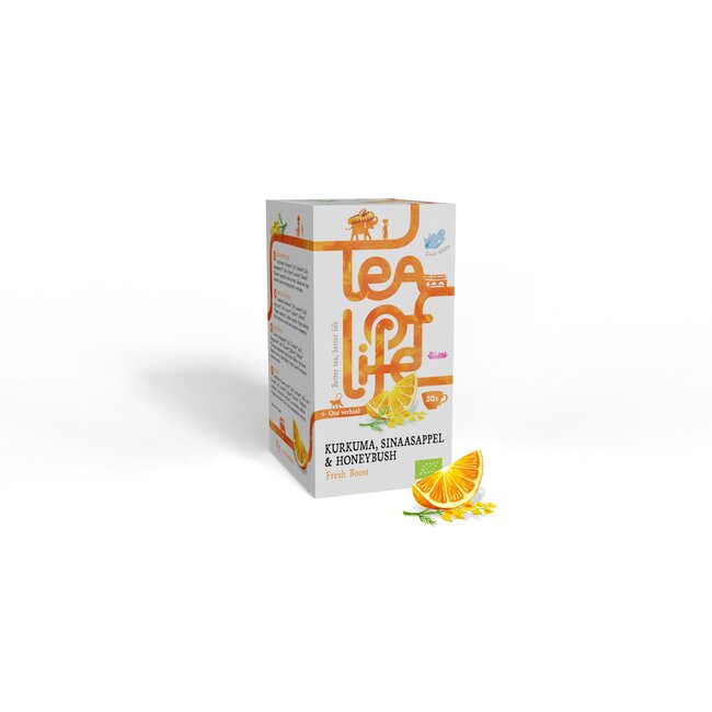 Tea of Life Fresh boost bio 20 Zakjes