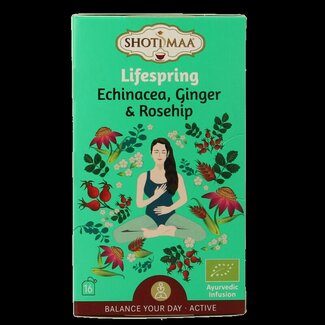 Shoti Maa Shoti Maa Lifespring echinacea, ginger & rosehip bio 16 Zakjes