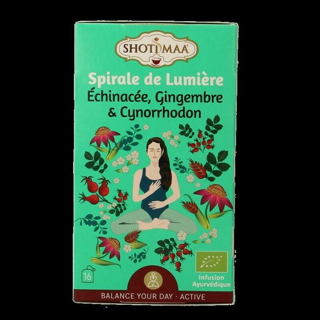 Shoti Maa Lifespring echinacea, ginger & rosehip bio 16 Zakjes