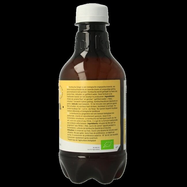 Purasana Kombucha gember vegan bio 330 Milliliter