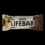 Lifebar inchoco chocolade vanille raw bio 40 Gram