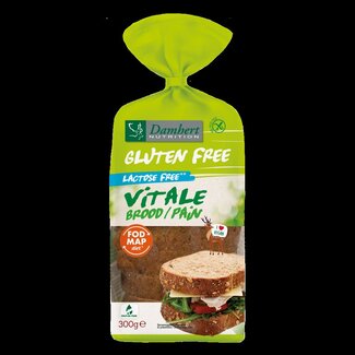 Damhert Damhert Vitale brood glutenvrij 300 Gram