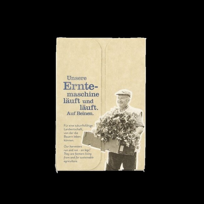 Sonnentor Menthe poivrée bio 18 sachets