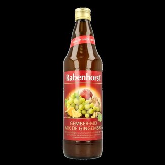 Rabenhorst Rabenhorst Ginger mix bio 750 Milliliter