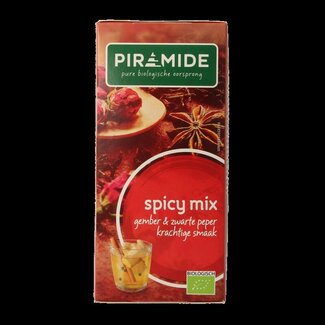 Piramide Piramide Spicy thee eko bio 20 Zakjes