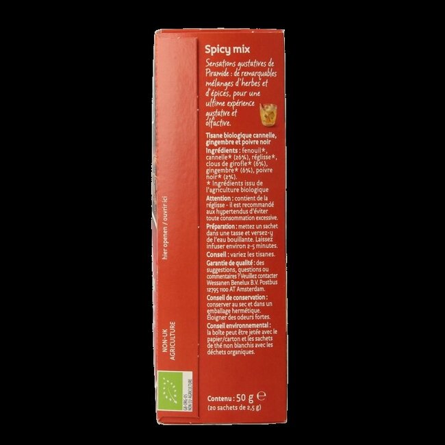 Piramide Spicy thee eko bio 20 Zakjes