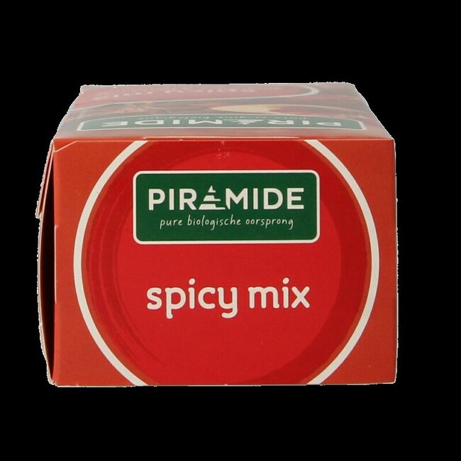 Piramide Spicy thee eko bio 20 Zakjes
