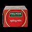 Piramide Spicy thee eko bio 20 Zakjes