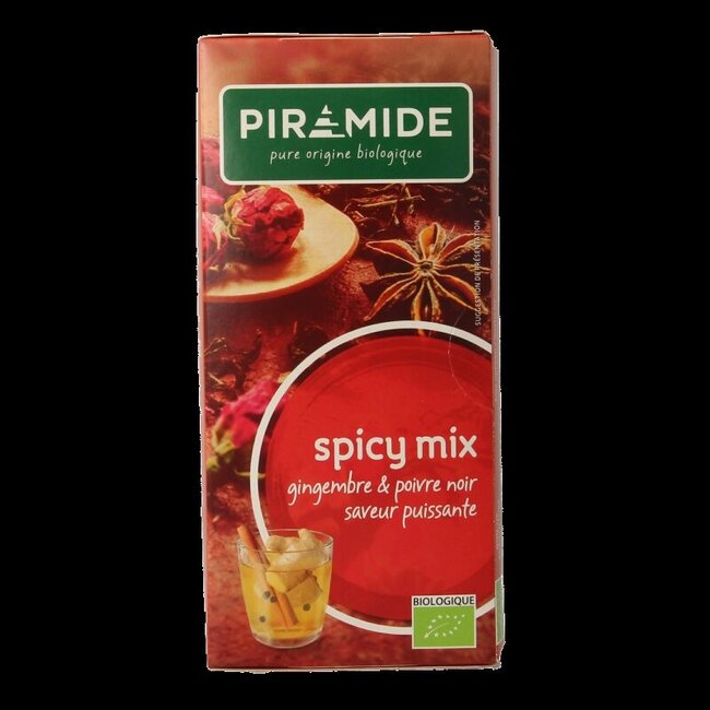Piramide Thé Épicé Bio 20 Sachets