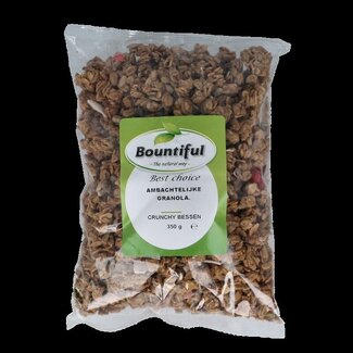 Bountiful Bountiful Ambachtelijke granola krunchy bessen 350 Gram