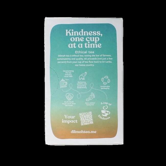 Dilmah Green tea with ginger bio 20 Zakjes