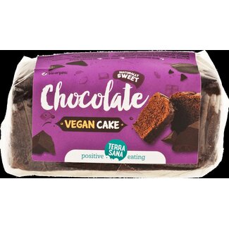 TerraSana TerraSana Vegan cake chocolade bio 350 Gram
