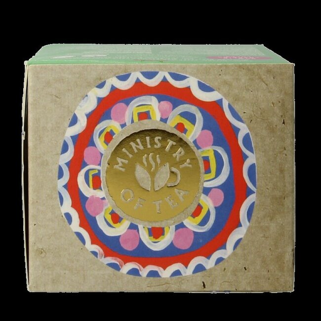 Ministry Of Tea Moroccan mint tea bio 20 Zakjes