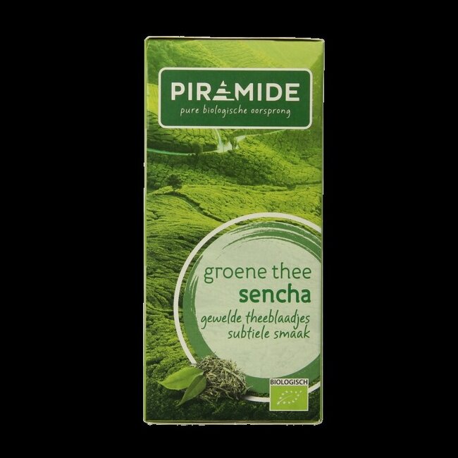 Piramide Groene thee sencha eko bio 20 Zakjes