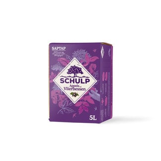 Schulp Saptap appel & vlierbessensap 5 Liter