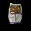 De Halm Crunchy appel/kaneel bio 450 Gram