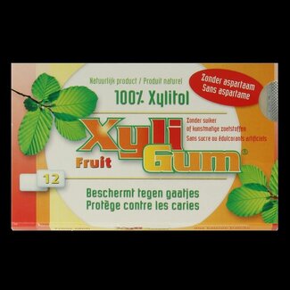 Xyligum Xyligum Fruit 15 Gram
