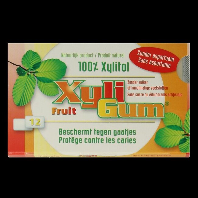 Xyligum Fruit 15 Gram