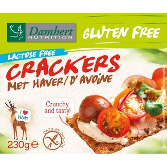 Damhert Crackers haver 230 Gram