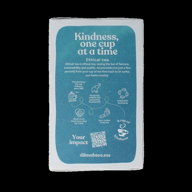 Dilmah Fruity minty delicious bio 20 Zakjes