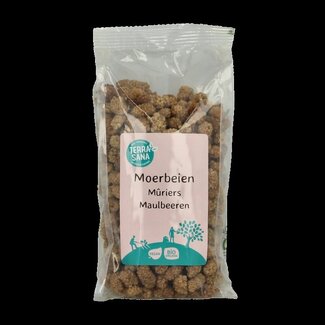 TerraSana TerraSana RAW Moerbei bessen wit bio 175 Gram