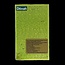Dilmah Springtime fragrant oolong green tea 20 Zakjes
