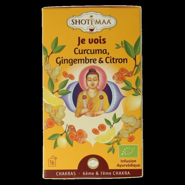 Shoti Maa Vision bio 16 Zakjes