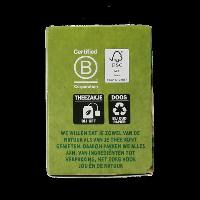 Zonnatura Thé vert ginseng bio 20 Sachets