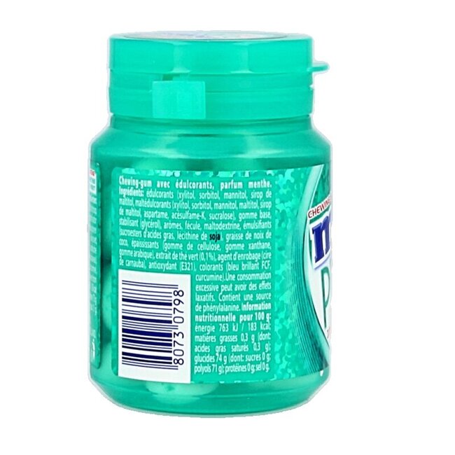 Mentos Gum pure wintergreen pot 30 Stuks