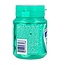 Gum pure wintergreen pot 30 Stuks
