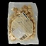 Macadamianoten gezout bio 100 Gram