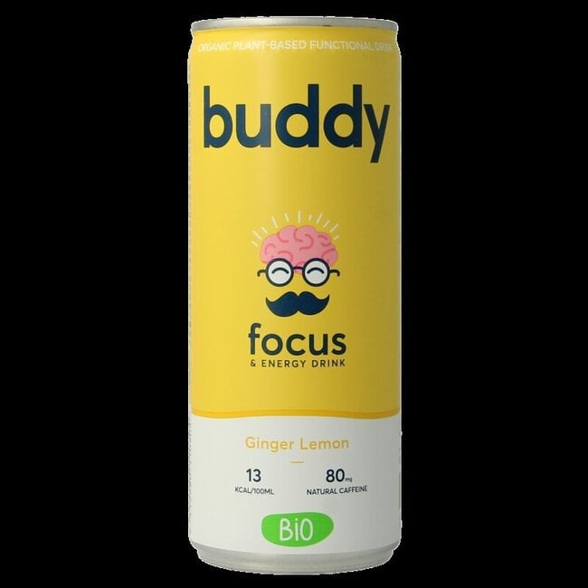 Drink ginger & lemon bio 250 Milliliter