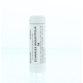Homeoden Heel Echinacea angustifolia D6 6 Gram