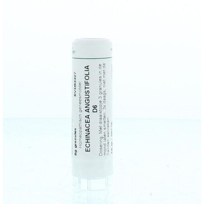 Echinacea angustifolia D6 6 Gram