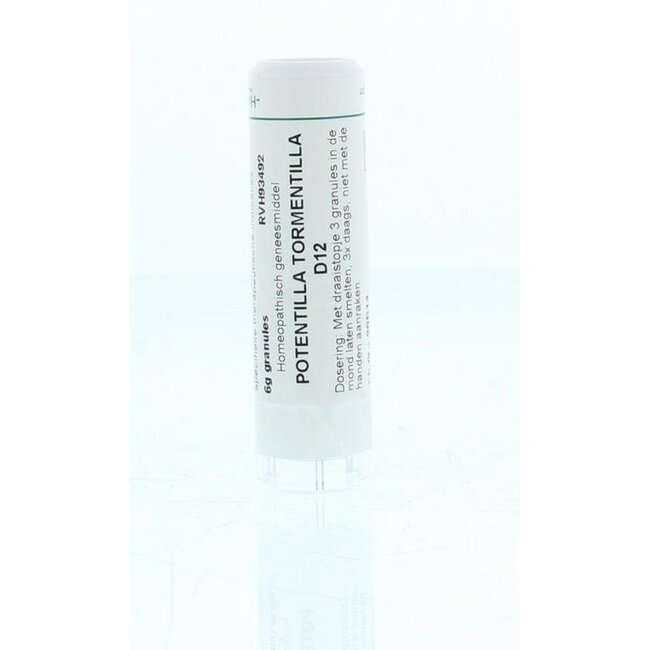 Potentilla tormentilla D12 6 Gram