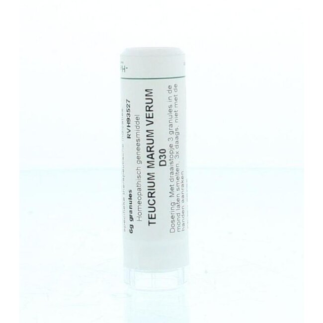 Teucrium marum verum D30 6 Gram