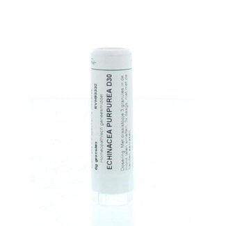 Homeoden Heel Echinacea purpurea D30 6 Gram