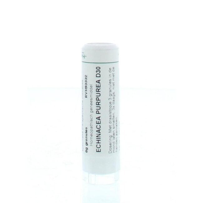 Echinacea purpurea D30 6 Gram