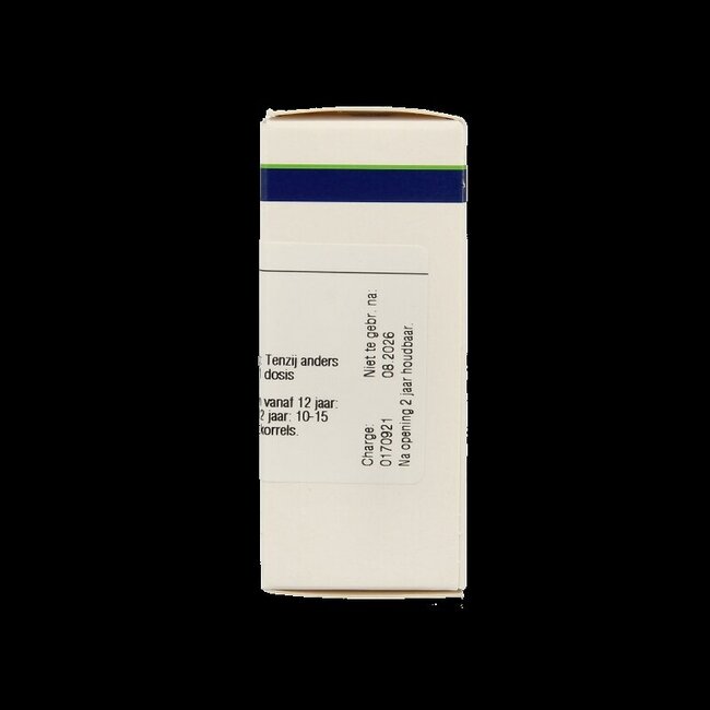 VSM Anacardium orientale 200K 4 g