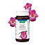 Atrosan 60 Tabletten