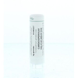 Homeoden Heel Cardiospermum halicacabum D30 6 Gram