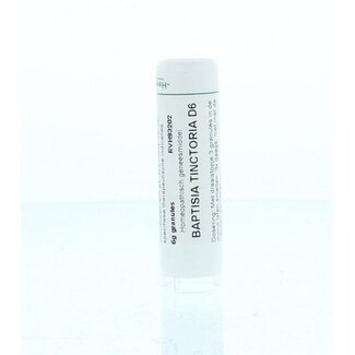 Homeoden Heel Homeoden Heel Baptisia tinctoria D6 6 g