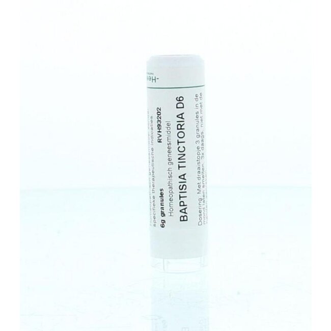 Baptisia tinctoria D6 6 Gram