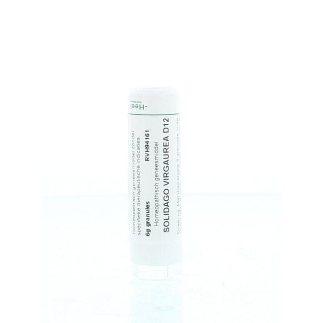 Solidago virgaurea D12 6 Gram