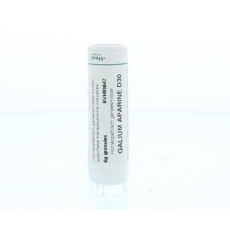 Homeoden Heel Ginkgo biloba LM30 6 Gram