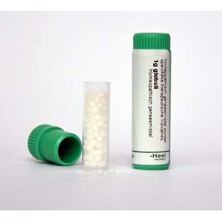 Homeoden Heel Magnesium phosphoricum D30 1 Gram