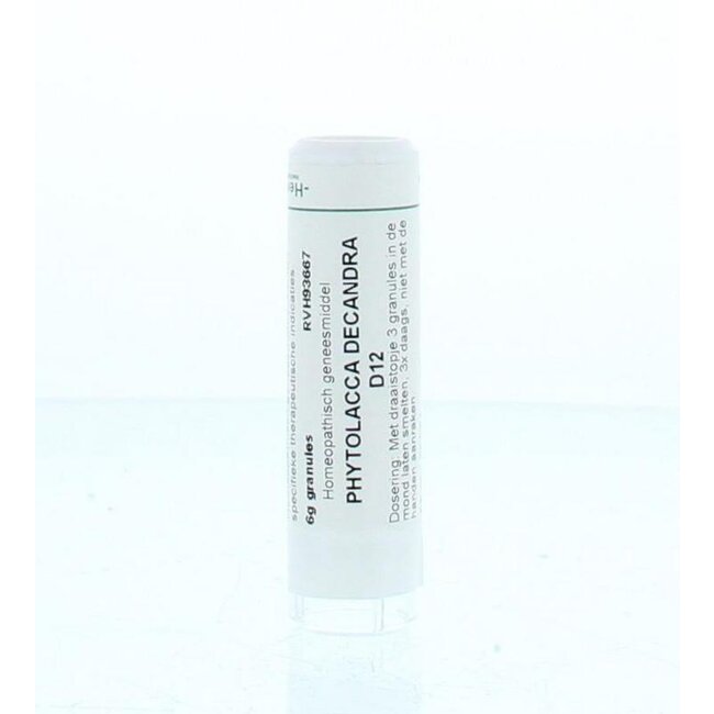 Phytolacca decandra D12 6 Gram
