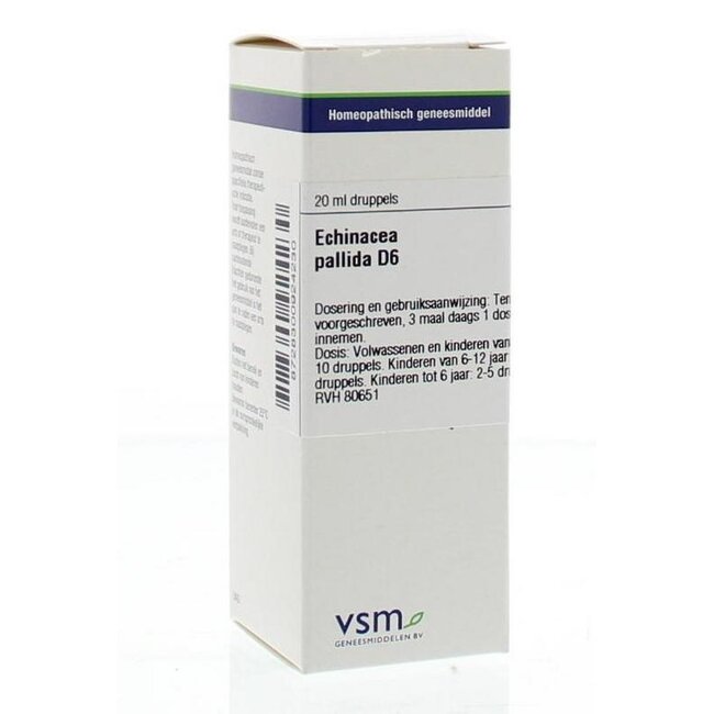 Echinacea pallida D6 20 Milliliter